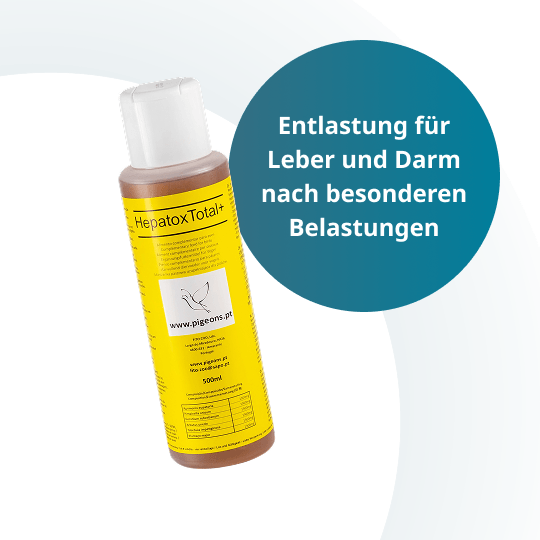Hepatox – 500 ml