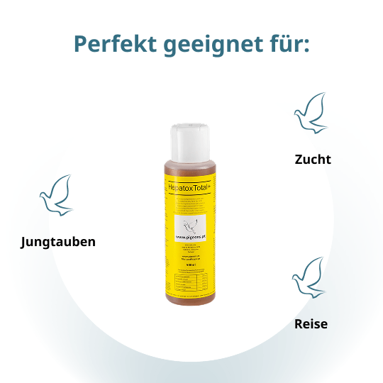 Hepatox – 500 ml