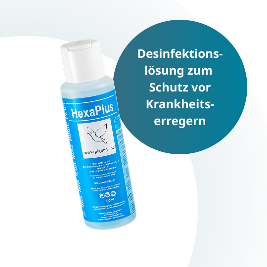 Hexaplus – 500 ml