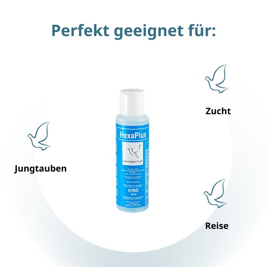 Hexaplus – 500 ml