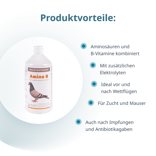 MEISTERTAUBEN AMINO B – 1.000 ml