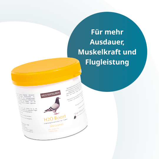 MEISTERTAUBEN H2O Boost – 500 g