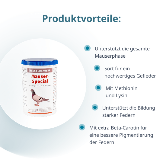 MEISTERTAUBEN Mauser-Special – 1 kg