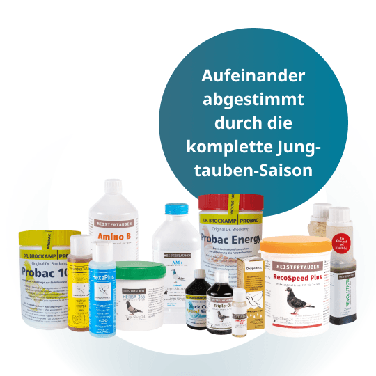MEISTERTAUBEN Jungtauben-Reisepaket – 13 Produkte für die ganze Saison