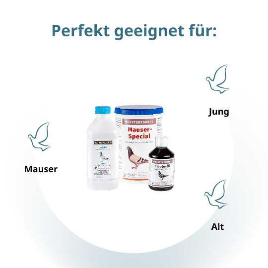 MEISTERTAUBEN Mauser-Paket klein – 3 Produkte für die Mauser