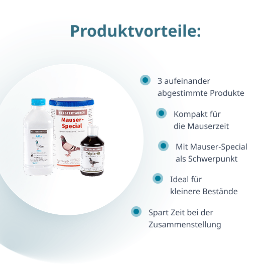 MEISTERTAUBEN Mauser-Paket klein – 3 Produkte für die Mauser