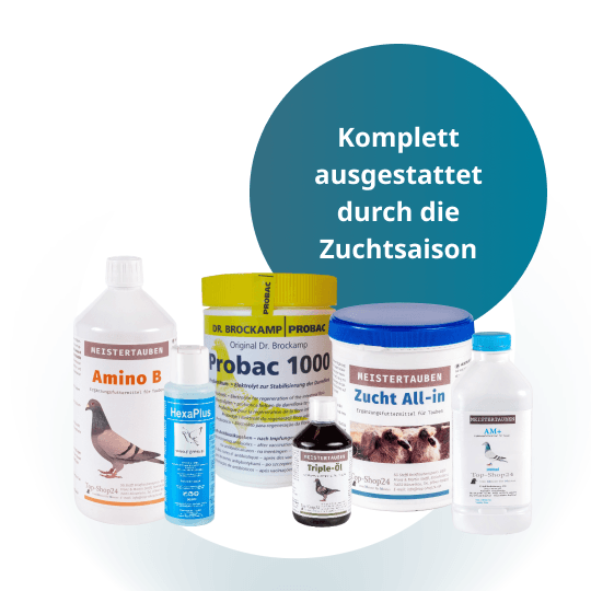 MEISTERTAUBEN Zuchtpaket groß – 6 Produkte für die Zuchtsaison
