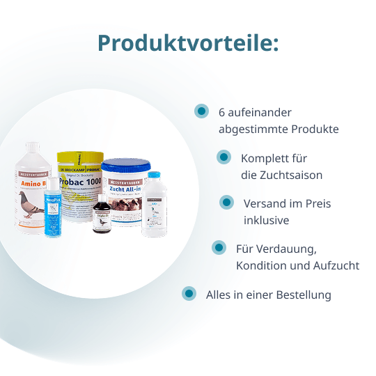 MEISTERTAUBEN Zuchtpaket groß – 6 Produkte für die Zuchtsaison