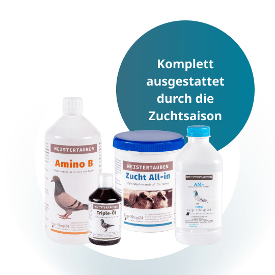 MEISTERTAUBEN Zuchtpaket klein – 4 Produkte für die Zuchtsaison