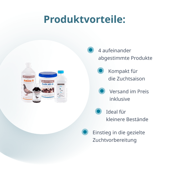 MEISTERTAUBEN Zuchtpaket klein – 4 Produkte für die Zuchtsaison
