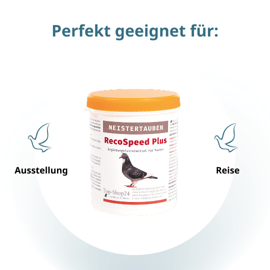 MEISTERTAUBEN RecoSpeed Plus – 500 g