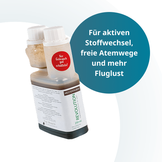 MEISTERTAUBEN Revolution – 250 ml