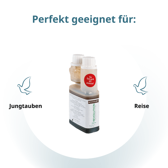 MEISTERTAUBEN Revolution – 250 ml