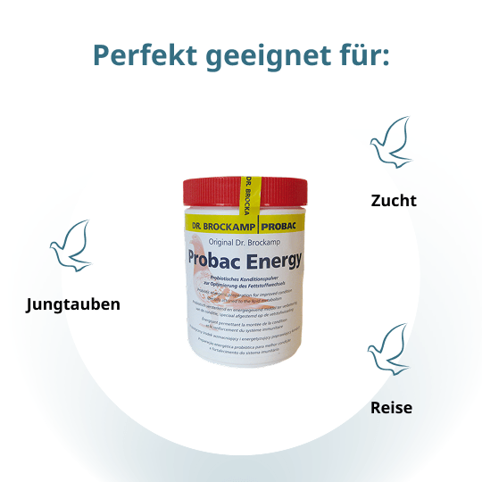 Probac Energy – 500 g