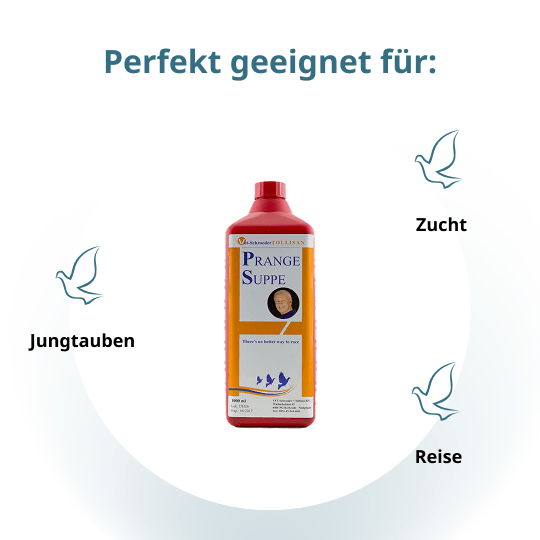 PS Prange Suppe – 1.000 ml