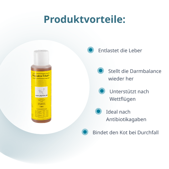 Hepatox – 500 ml