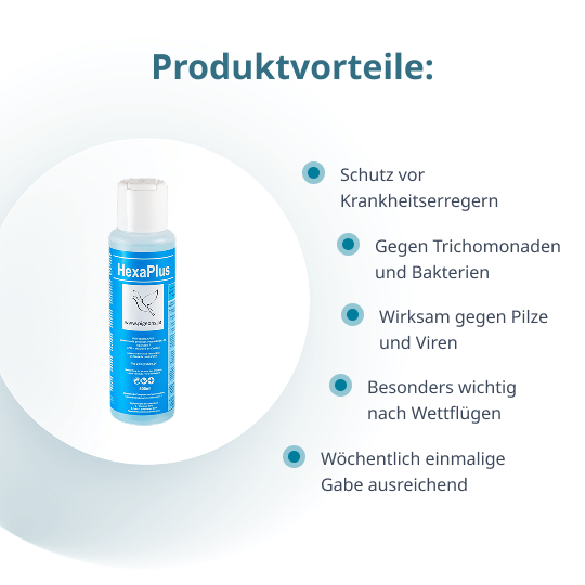 Hexaplus – 500 ml