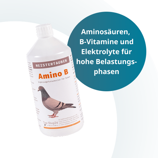 MEISTERTAUBEN AMINO B – 1.000 ml