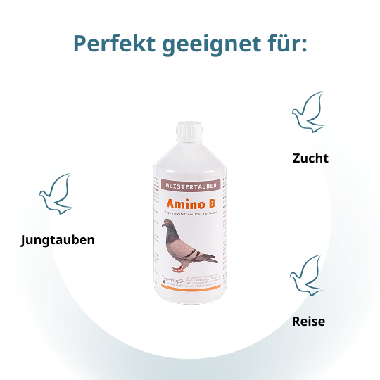 MEISTERTAUBEN AMINO B – 1.000 ml