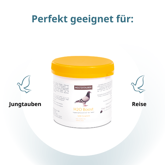 MEISTERTAUBEN H2O Boost – 500 g