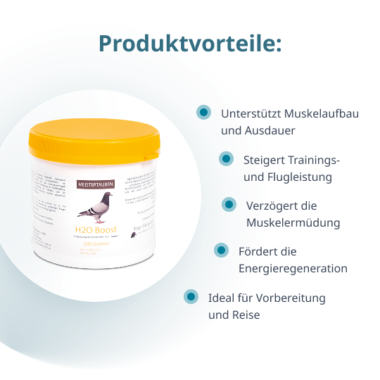 MEISTERTAUBEN H2O Boost – 500 g