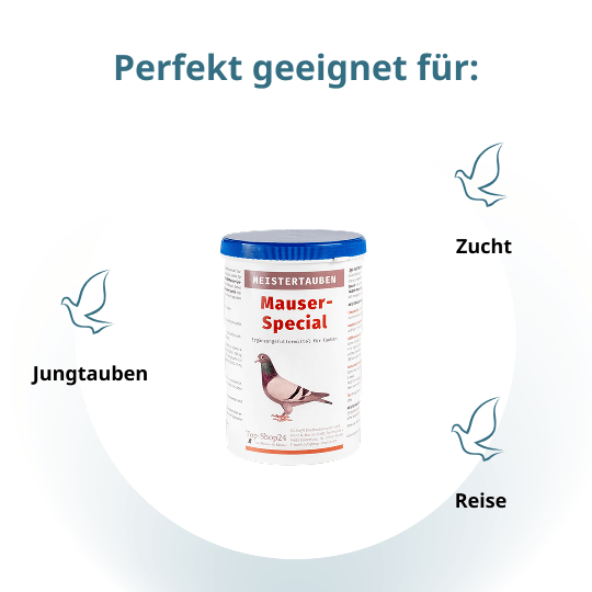 MEISTERTAUBEN Mauser-Special – 1 kg