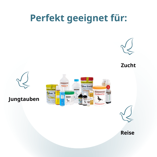 MEISTERTAUBEN Jungtauben-Reisepaket – 13 Produkte für die ganze Saison