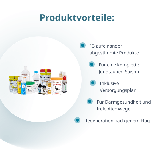 MEISTERTAUBEN Jungtauben-Reisepaket – 13 Produkte für die ganze Saison