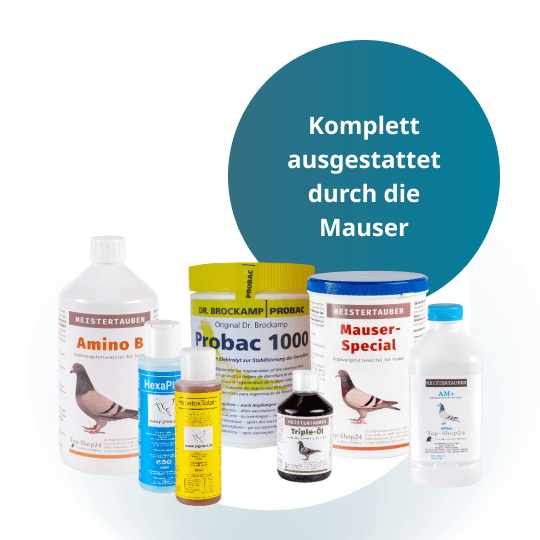MEISTERTAUBEN Mauser-Paket groß – 7 Produkte für die Mauser