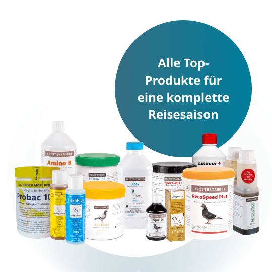 MEISTERTAUBEN Reisepaket – 13 Produkte für die Alttauben-Saison