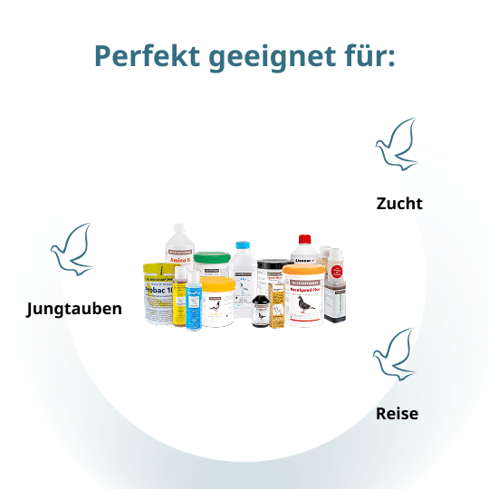 MEISTERTAUBEN Reisepaket – 13 Produkte für die Alttauben-Saison