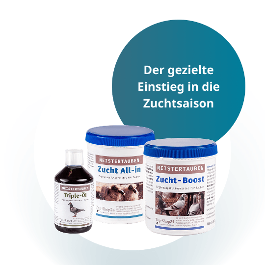 MEISTERTAUBEN Zucht Starter – 3 Produkte für den Start in die Zuchtsaison