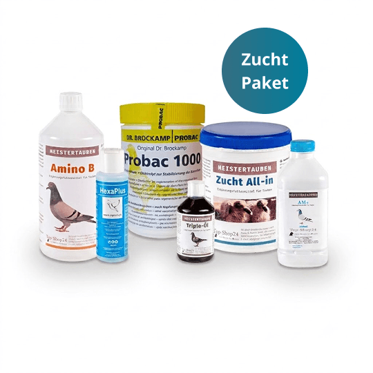 MEISTERTAUBEN Zuchtpaket groß – 6 Produkte für die Zuchtsaison