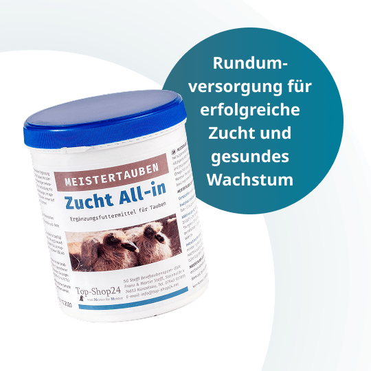 MEISTERTAUBEN Zucht All-in – 1.000 g