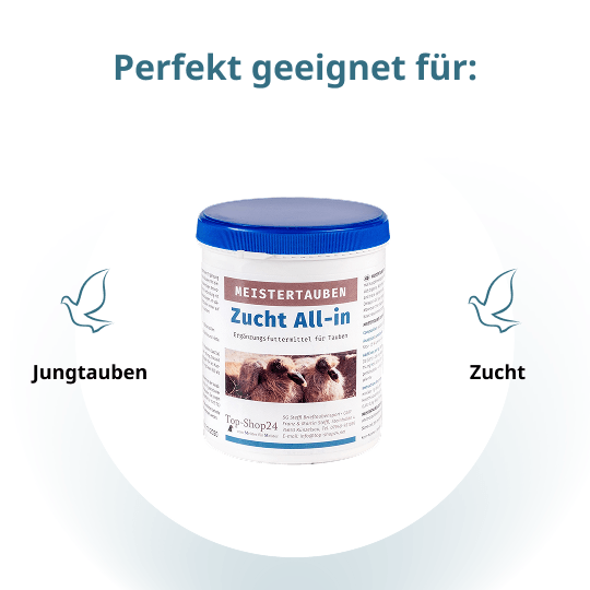 MEISTERTAUBEN Zucht All-in – 1.000 g