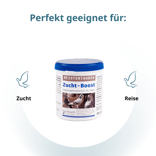 MEISTERTAUBEN Zucht-Boost – 250 g