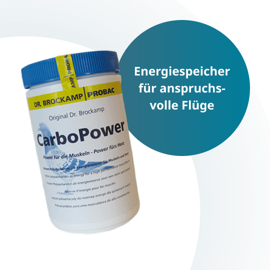 Carbo Power – 500 g