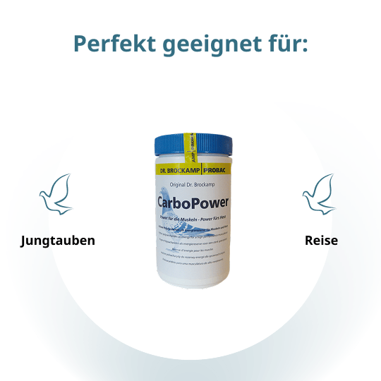 Carbo Power – 500 g