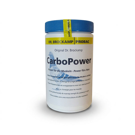 Carbo Power – 500 g