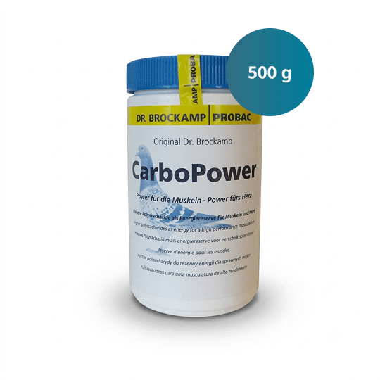 Carbo Power – 500 g