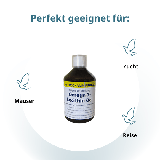 Omega-3-Lecithin Oel – 500 ml