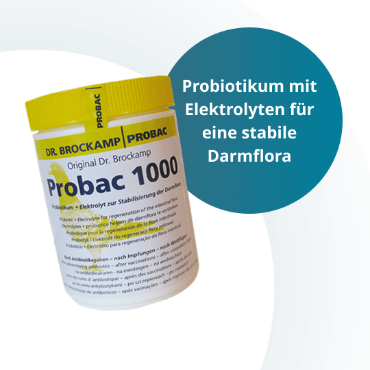 Probac 1000 – 500 g