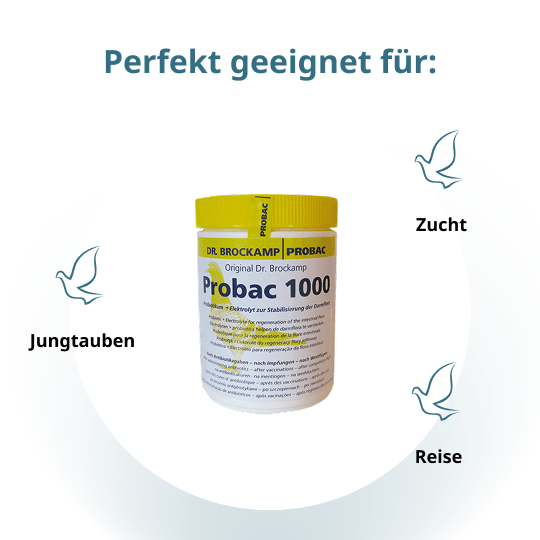 Probac 1000 – 500 g