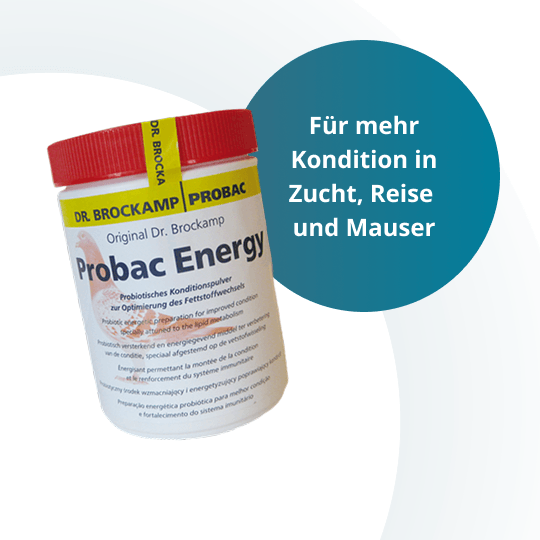 Probac Energy – 500 g