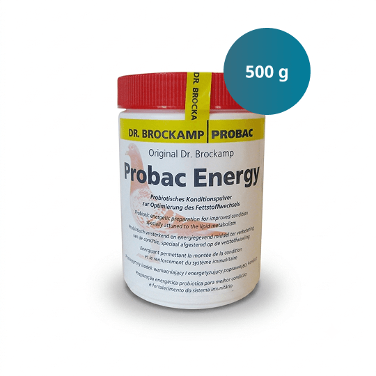 Probac Energy – 500 g