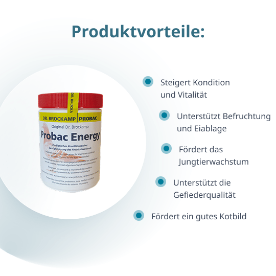 Probac Energy – 500 g