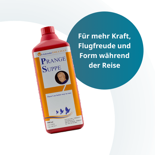 PS Prange Suppe – 1.000 ml
