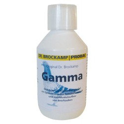 Gamma